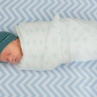 Swaddled baby boy. 