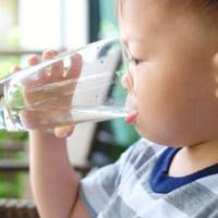 Cute thirsty little Asian 2 years old toddler baby boy child holding and drinking glass of water by himself against green background near home garden