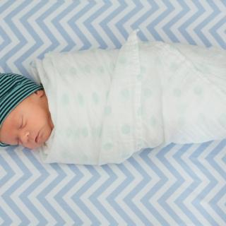 Swaddled baby boy. 