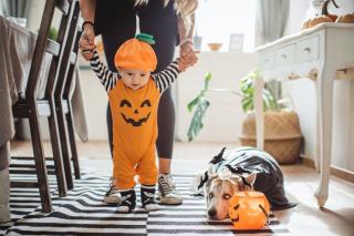 A COVID Halloween A COVID Halloween