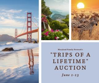MFN Auction 2022 MFN Auction 2022