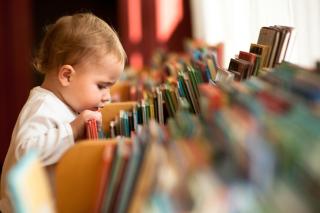 Little girl in a library looking at books. 