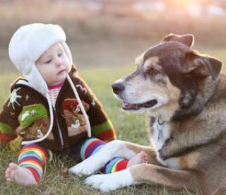 An adorable 8 month old baby girl is bundled up in a sweater and bomber hat looking lovingly at her pet German Shepherd dog as they sit outside on a cold fall day. 