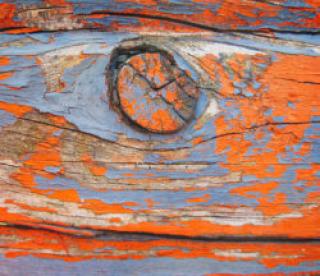 Photo containing a extreme close-up of a Paint Chipping peeling textured effect
