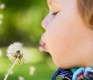 Caucasian blond baby girl blows on a dandelion flower in a park, selective focus on lips 