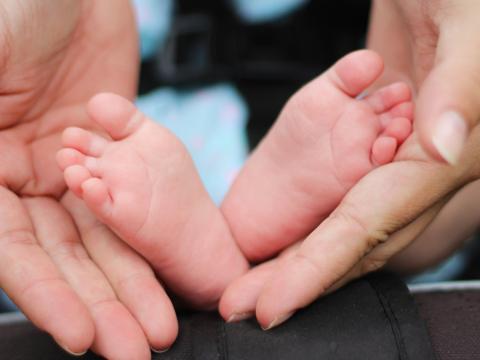 How you can Donate How you can Donate