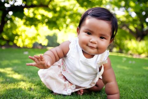 Baby girl playing on the grass. 